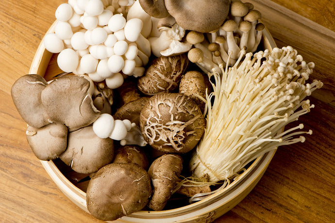 MUSHROOMS THAT PACK AN IMMUNITY PUNCH