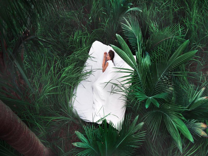 THE 6 CRUCIAL FACTORS THAT PROMOTE SLEEP