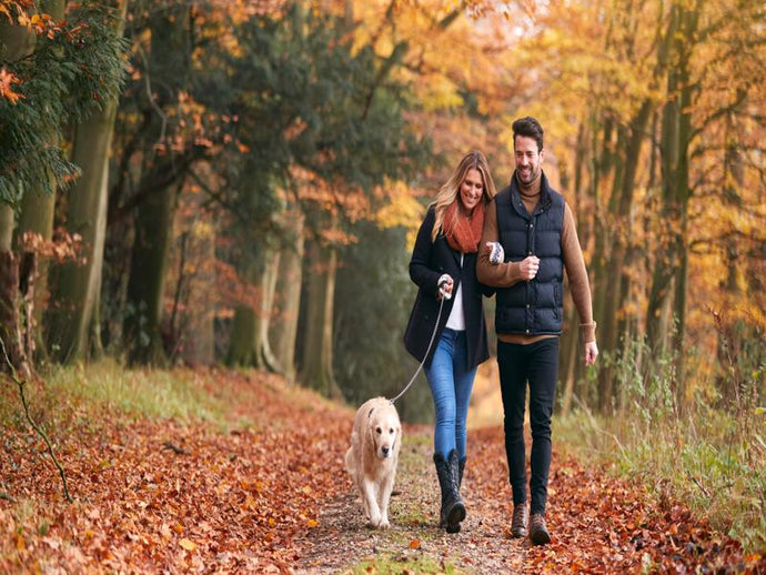 IS WALKING GOOD FOR LOWER BACK PAIN? THE COLD, HARD TRUTH YOU NEED TO KNOW